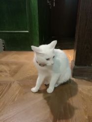 -HMC美容按摩SPA馆
