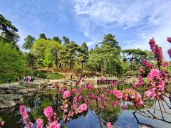 -香山公园