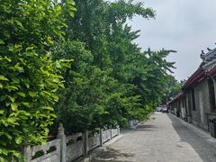 -慈恩寺
