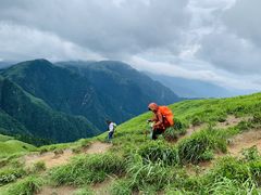-茶颜悦色(五一里1号口店)