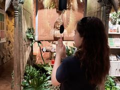 -叶叶菩提(太原别墅店)