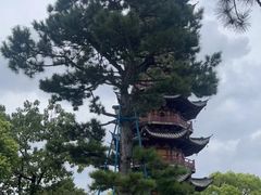 -龙华寺