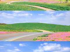 -桂溪生态公园
