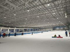 -绍兴启迪乔波冰雪世界
