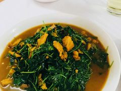 金花菜蚌肉-双桥饭店(锦溪店)