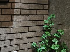 -汤家茗苑·精致私房菜(白沙店)