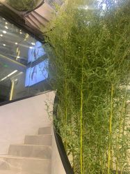 -简法造型·品牌形象店