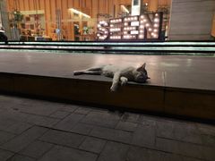 -阿瓦尼河滨曼谷酒店