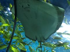 -福州罗源湾海洋世界旅游区