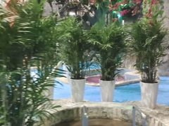 -兴芮温泉度假区