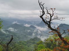 -青城山