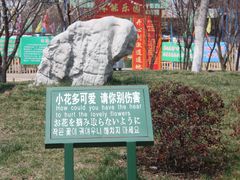 -莱西月湖公园