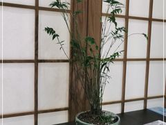 -无味舒食(思南公馆店)