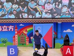 -成都浩海立方海洋公园