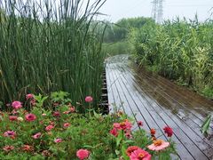 -永定河休闲森林公园
