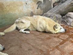 -海合安武汉极地海洋公园