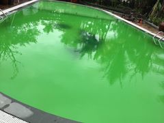 -加林娜泥浴水疗