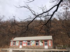 -金龙寺国家森林公园