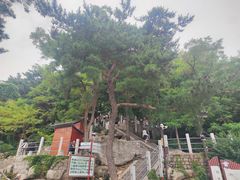 -崂山仰口游览区