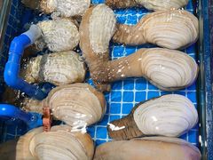 -望海湾鱼头泡饼·天津菜(空港店)