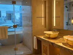 -广州白天鹅宾馆