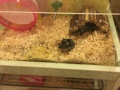 -龙猫仔乐园(惠福东路店)