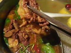 -手选潮汕鲜活牛肉火锅(二七广场店)