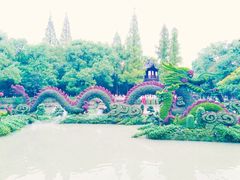 -汇龙潭