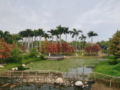-厦门园林博览苑