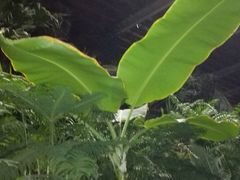 -龙达温泉生态城