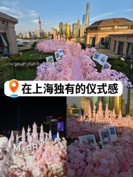 -迈瑞米求婚策划(静安店)