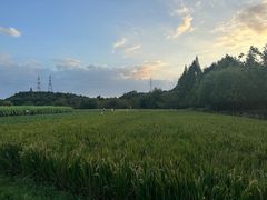 -八卦田遗址公园