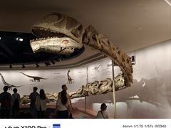 -自贡恐龙博物馆