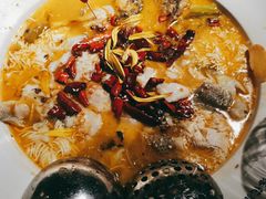 -胡桃里音乐酒馆(罗湖HALO广场店)