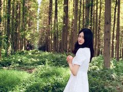 -黄海国家森林公园