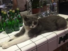 -MIKAKU(万达广场上海宝山店)