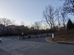 -元大都城垣遗址公园