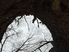 -窦大夫祠