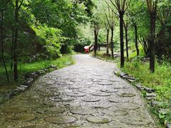 -十渡东湖港风景区
