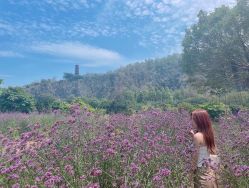 -Mix Boom Hair salon