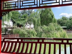-尚庄度假村·庭台树下·户外烧烤·团建CS·轰趴营地(上庄水库店)