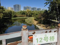 -大兴滨河森林公园