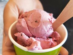 树莓-Dooley's Premium Ice Cream