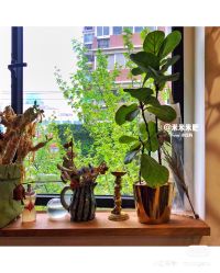 -J Eleven型人坊旗舰店