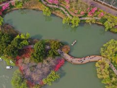 -圩墩遗址公园