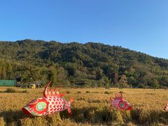 -塔川景区