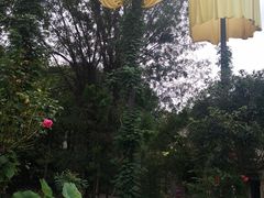 -西安关中民俗艺术博物院