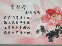 -仁和公园(顺义区)