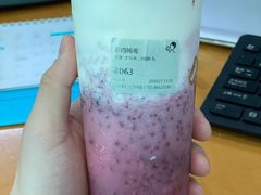 多肉杨梅-喜茶(深圳东门1234店)