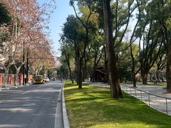 -Wagas沃歌斯(长宁龙之梦店)